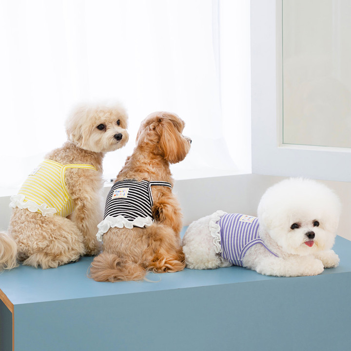 펫츠랜드 릴리프릴나시티 블랙