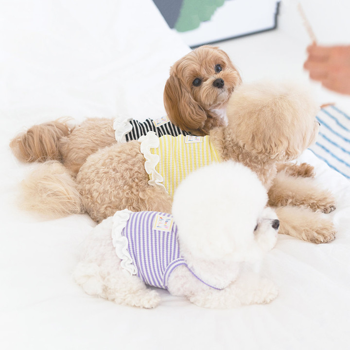 펫츠랜드 릴리프릴나시티 블랙