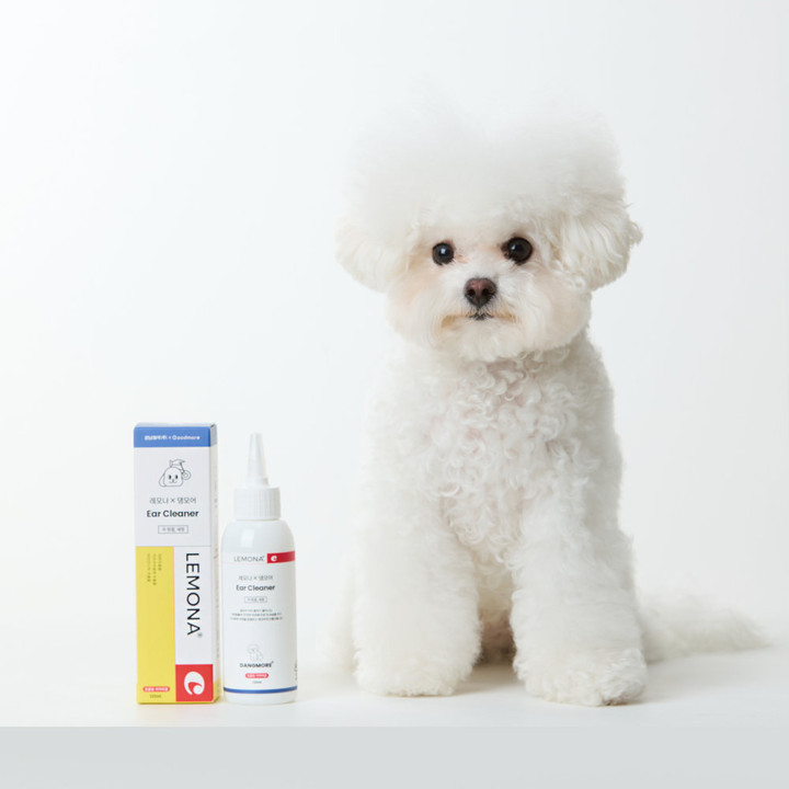 레모나 X 댕모어 이어 클리너 플러스 120ml