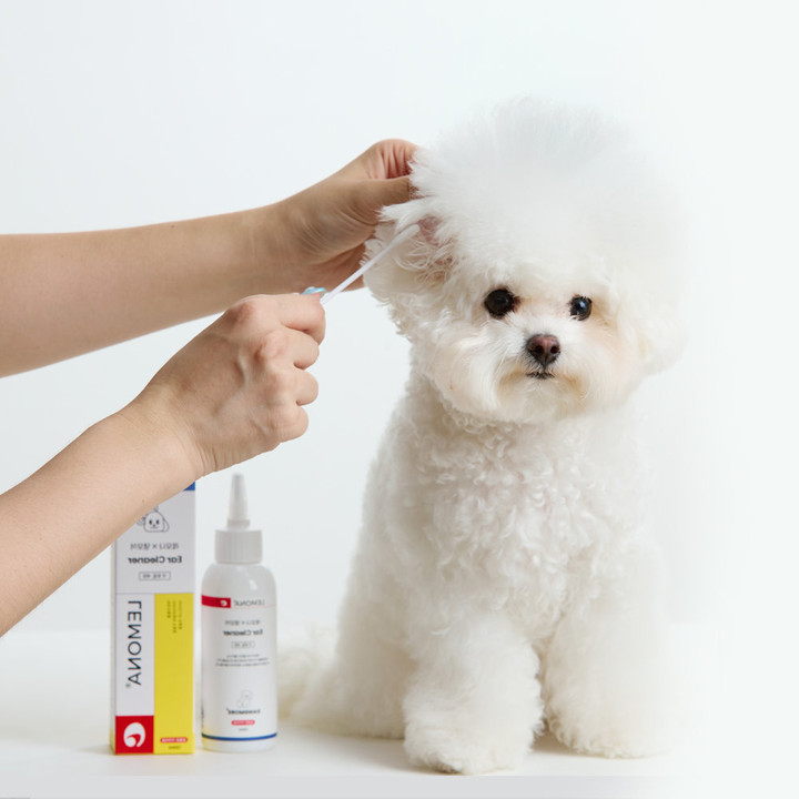 레모나 X 댕모어 이어 클리너 플러스 120ml