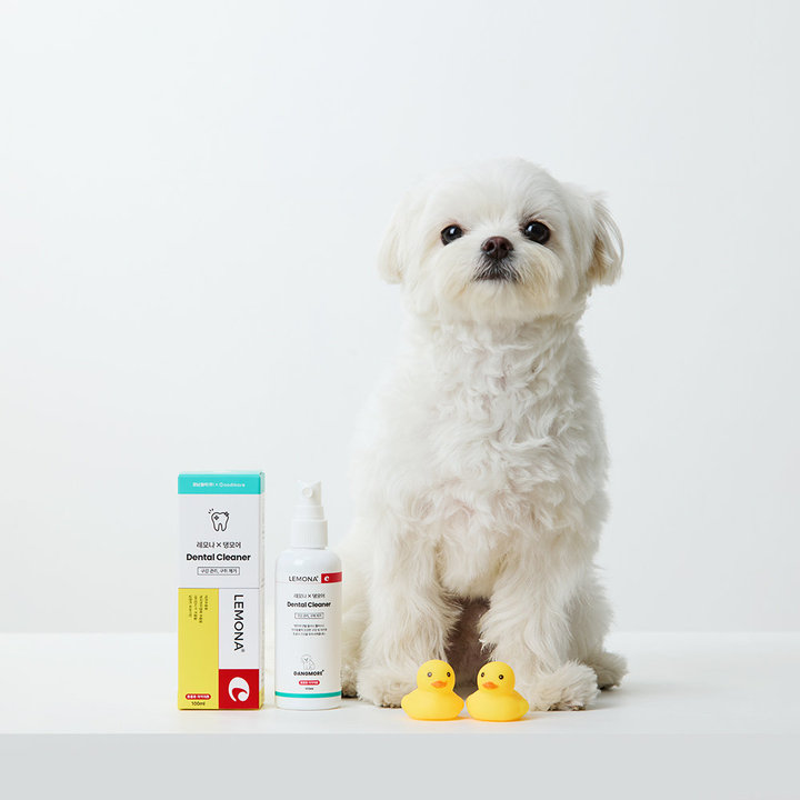 레모나 X 댕모어 덴탈 클리너 플러스 100ml