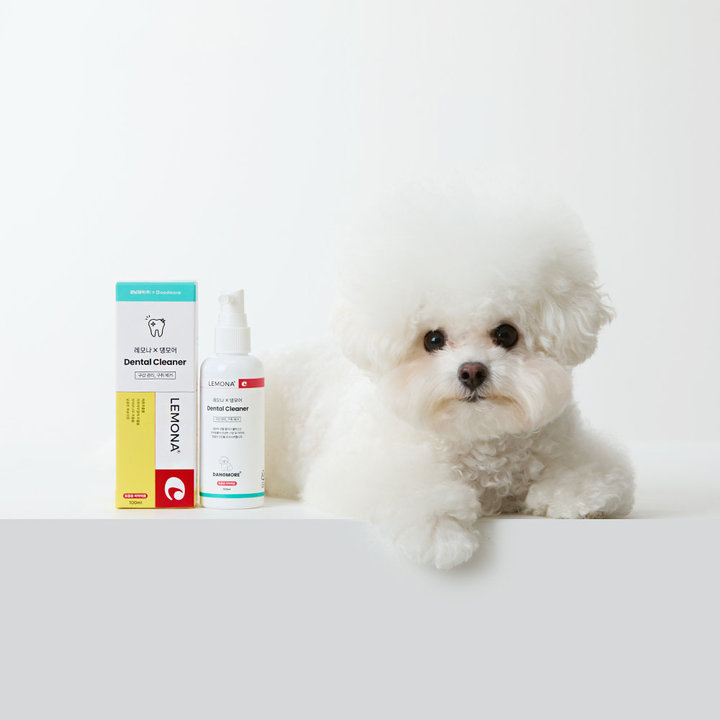 레모나 X 댕모어 덴탈 클리너 플러스 100ml