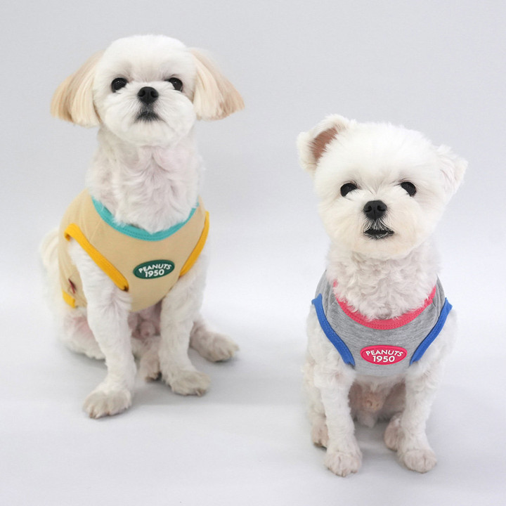 패리스독 피너츠 오리지널 티셔츠 그레이