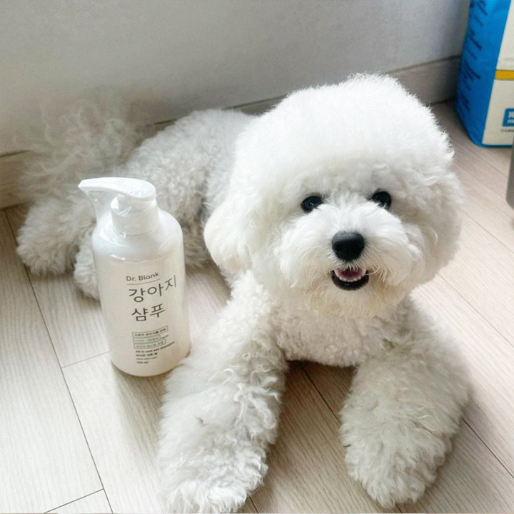 닥터블랭크 저자극 올인원 샴푸 500ml 4가지향