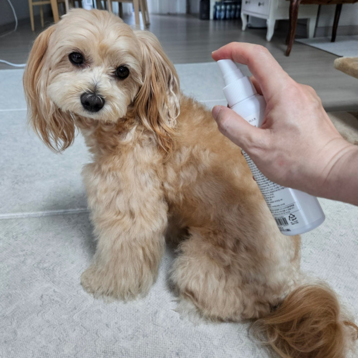 닥터블랭크 영양보습 미스트 150ml 4가지향