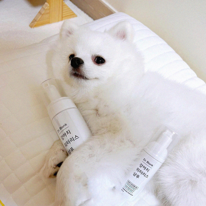 닥터블랭크 워터리스샴푸 200ml