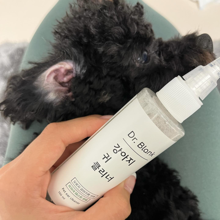 닥터블랭크 귀 클리너 100ml