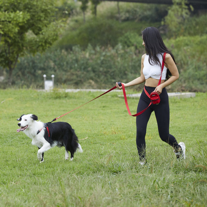 분독 플레이리쉬 2m50Cm 롱리드줄 블랙핑크
