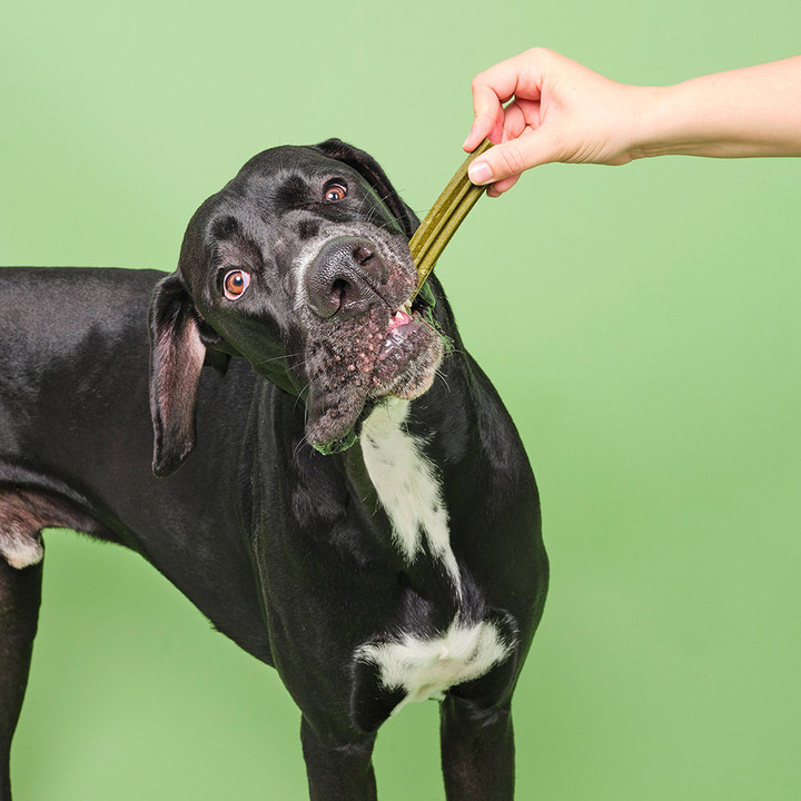 푸치앤머트 덴탈 스피루리나 7개입