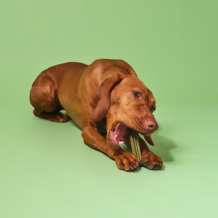 푸치앤머트 덴탈 스피루리나 7개입