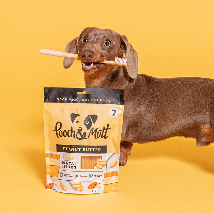 푸치앤머트 덴탈 피넛버터 7개입