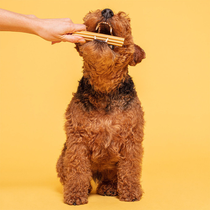 푸치앤머트 덴탈 피넛버터 7개입