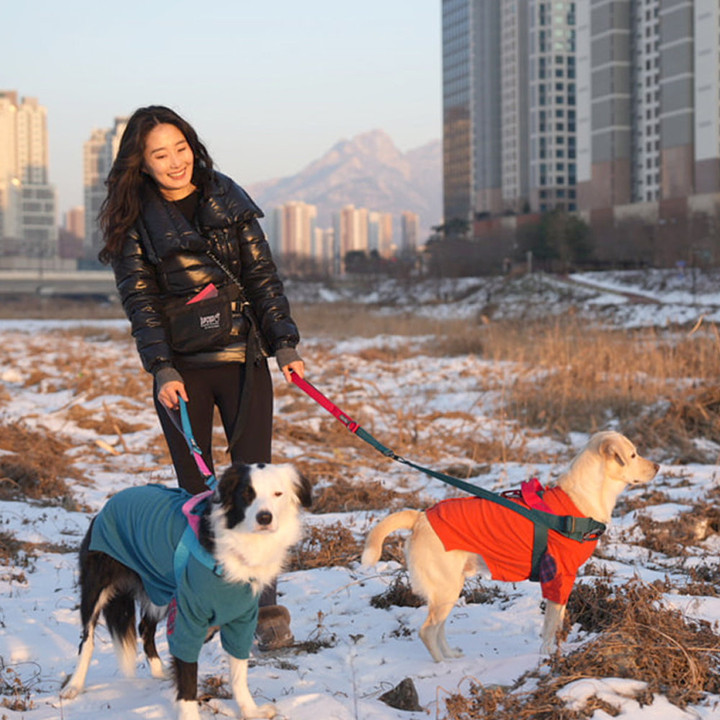 분독 듀얼 리쉬 옐로우