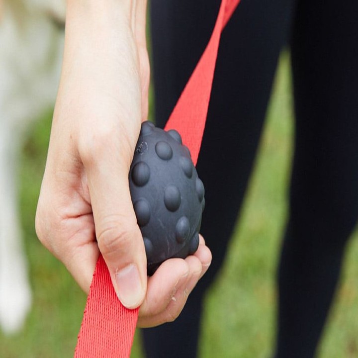 분독 리드줄 안전그립 분볼 소프트타입 레드