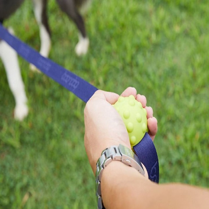 분독 리드줄 안전그립 분볼 소프트타입 레드