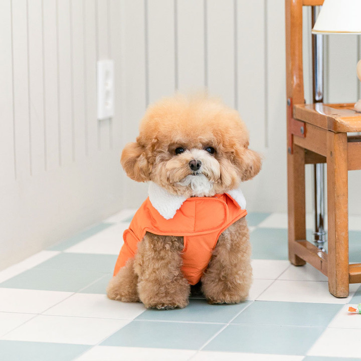 펫츠랜드 모던케이프패딩 오렌지