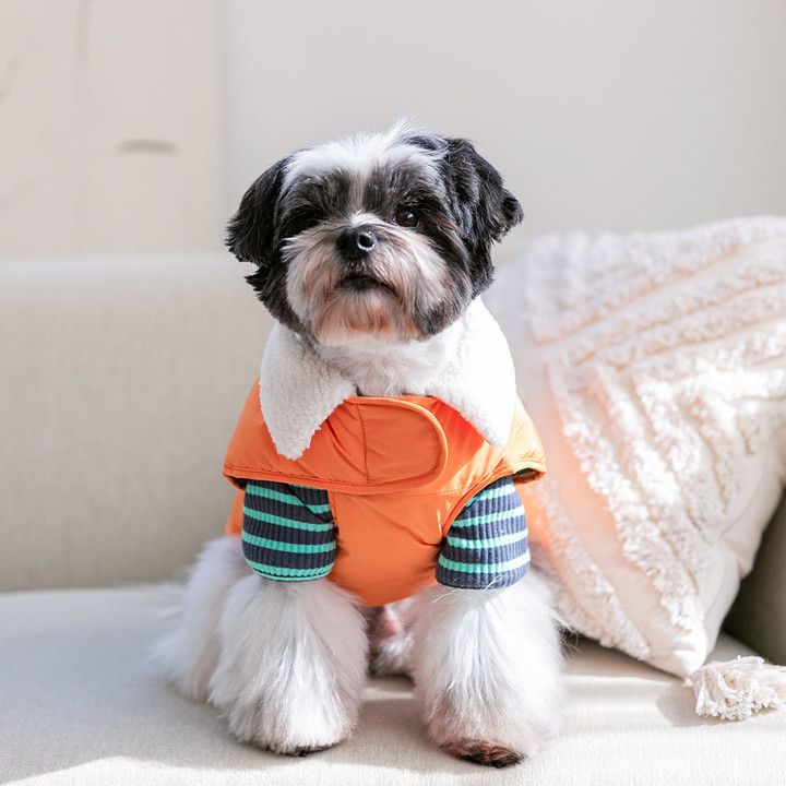 펫츠랜드 모던케이프패딩 오렌지