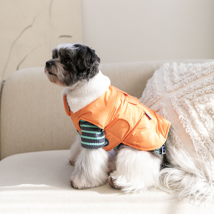 펫츠랜드 모던케이프패딩 오렌지