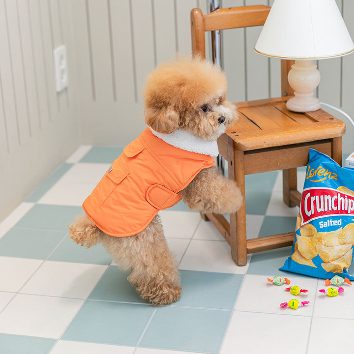 펫츠랜드 모던케이프패딩 오렌지