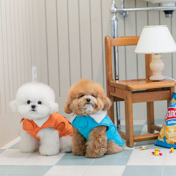 펫츠랜드 모던케이프패딩 오렌지