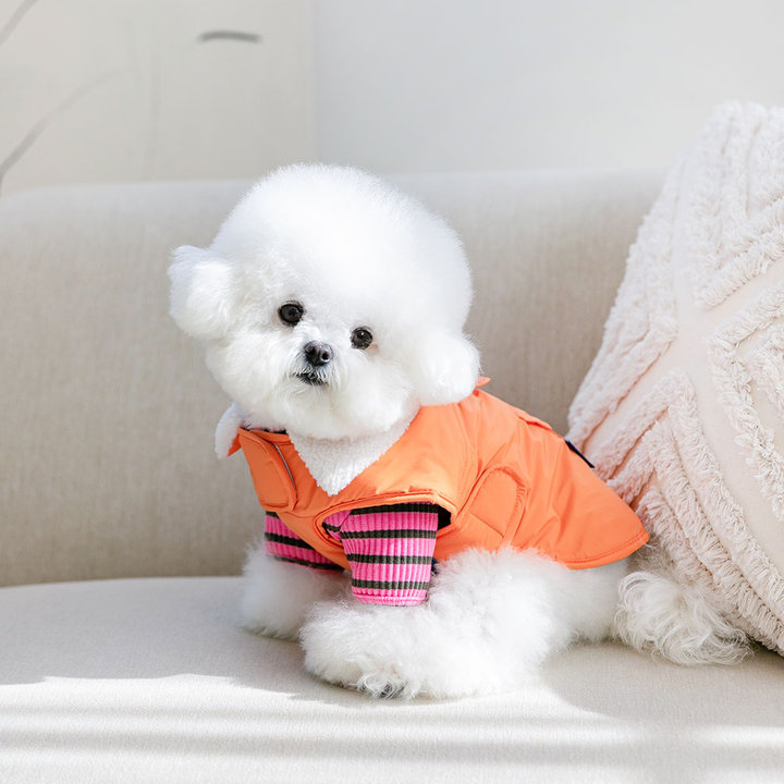 펫츠랜드 모던케이프패딩 오렌지