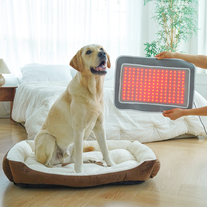 시리어스펫 슬개골 따땃패드 프로