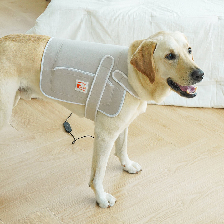 시리어스펫 슬개골 따땃패드 프로