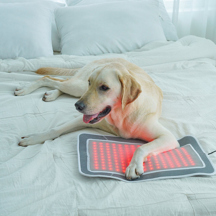 시리어스펫 슬개골 따땃패드 프로