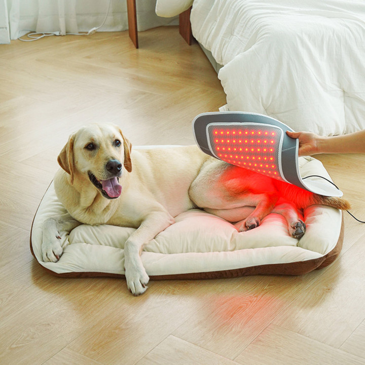 시리어스펫 슬개골 따땃패드 프로