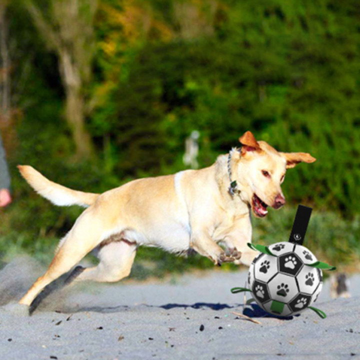 딩동펫 도그탭 축구공