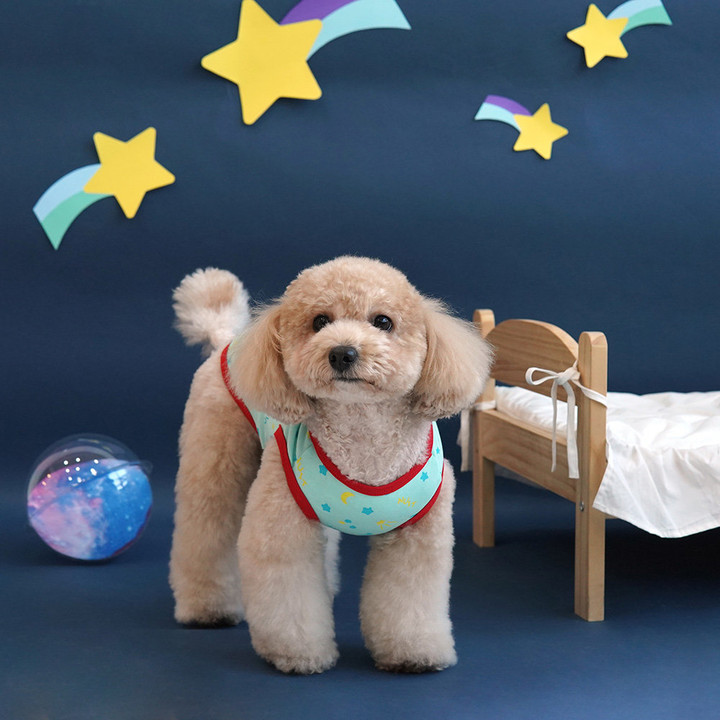 패리스독 코코앤샤샤 별빛티셔츠 블루