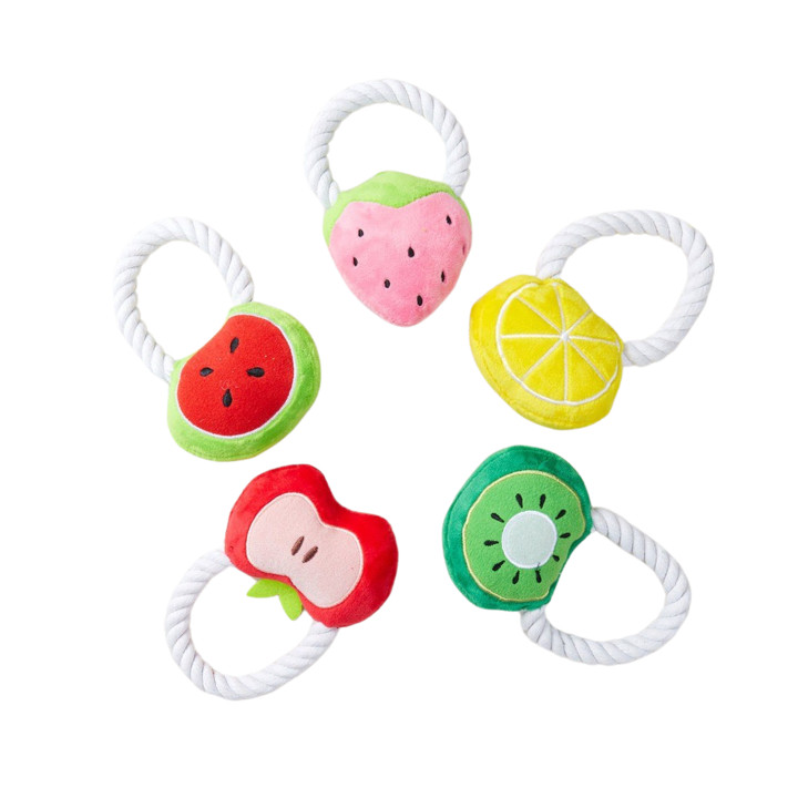 펫모닝 내추럴 과일 토이, 모양 랜덤