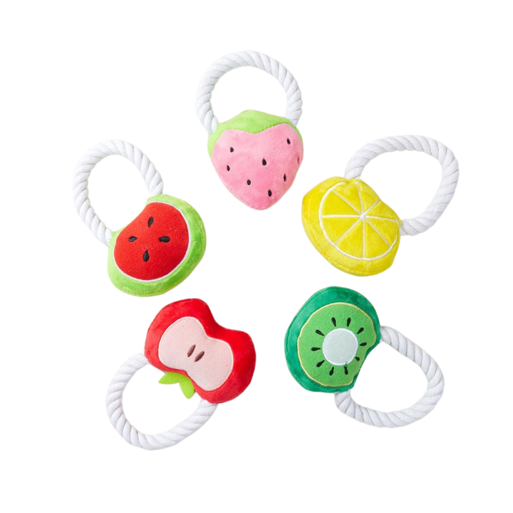 펫모닝 내추럴 과일 토이, 모양 랜덤