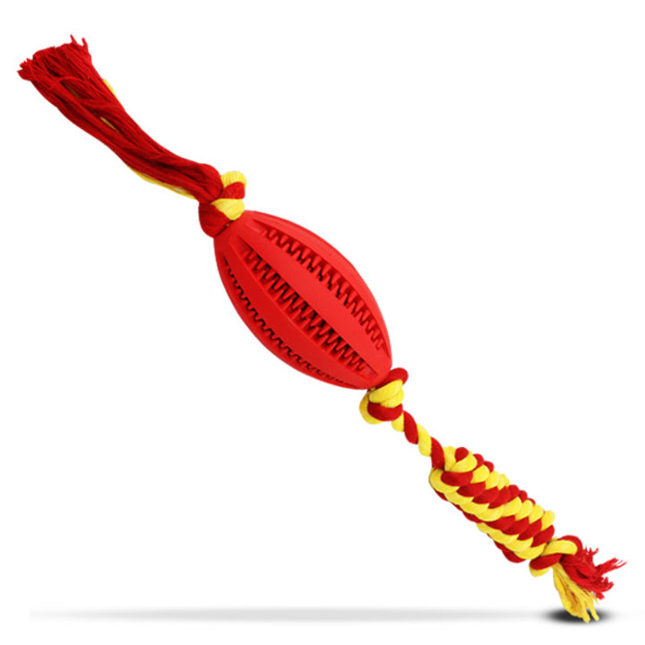 딩동펫 라텍스 터그츄