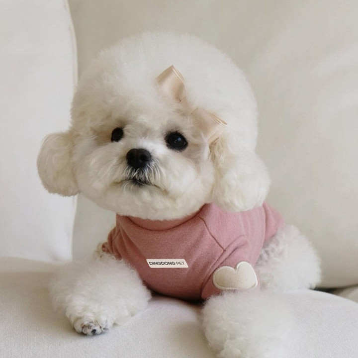 딩동펫 하트 폴라넥 티셔츠