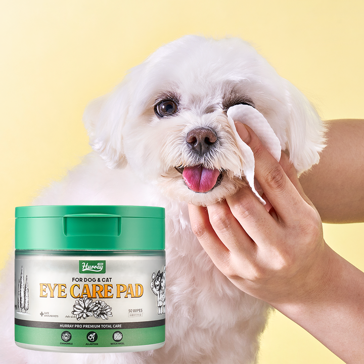 허레이 프로 아이 케어 패드