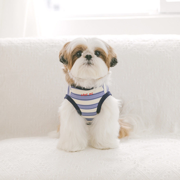 펫츠랜드 데일리하트티셔츠 라인즈블루