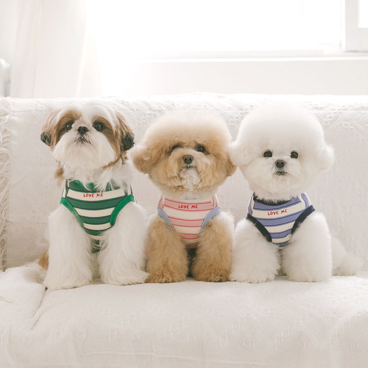 펫츠랜드 데일리하트티셔츠 라인즈블루