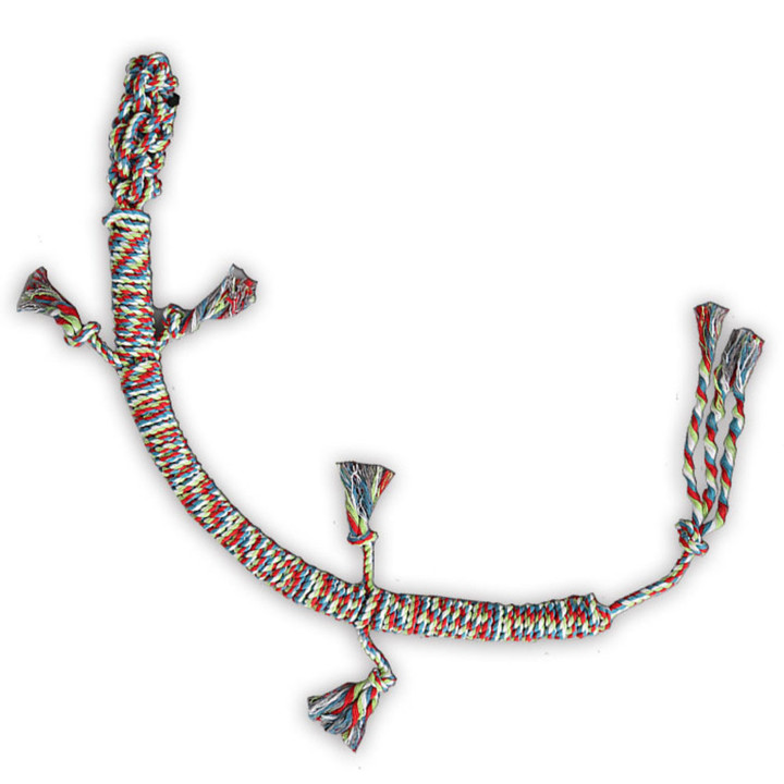 딩동펫 터그놀이 대형 도마뱀 실타래