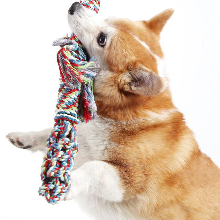 딩동펫 터그놀이 대형 도마뱀 실타래