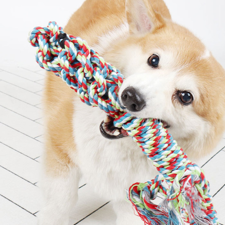 딩동펫 터그놀이 대형 도마뱀 실타래