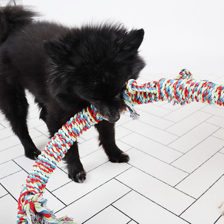 딩동펫 터그놀이 대형 도마뱀 실타래