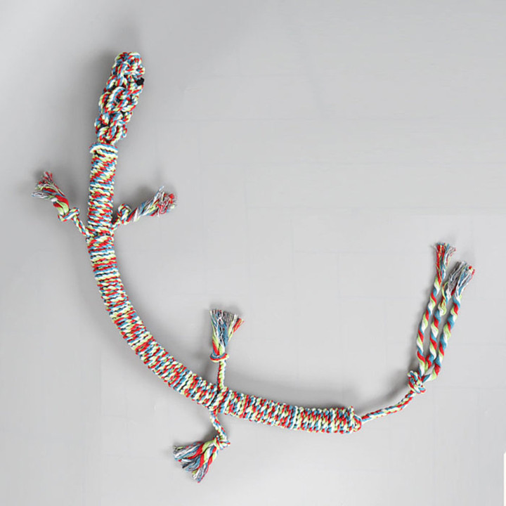 딩동펫 터그놀이 대형 도마뱀 실타래