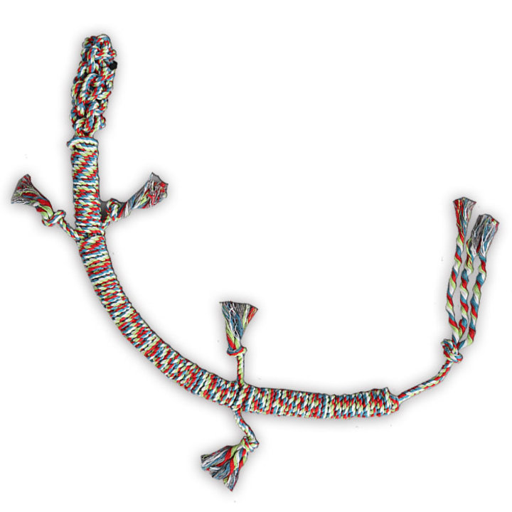 딩동펫 터그놀이 대형 도마뱀 실타래