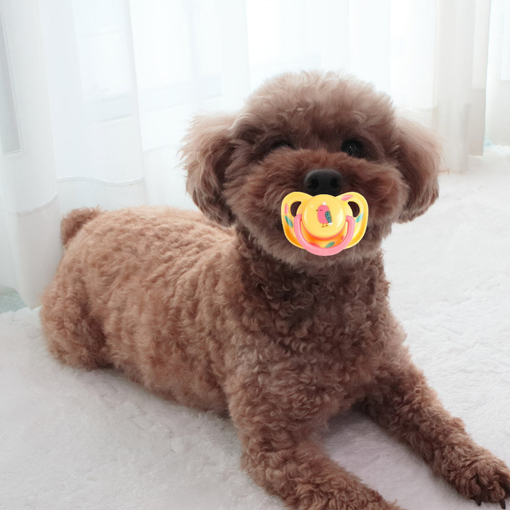 딩동펫 베이비 쪽쪽이 치발기