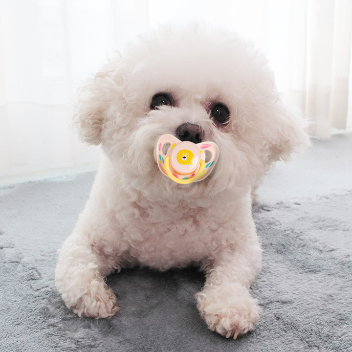 딩동펫 베이비 쪽쪽이 치발기