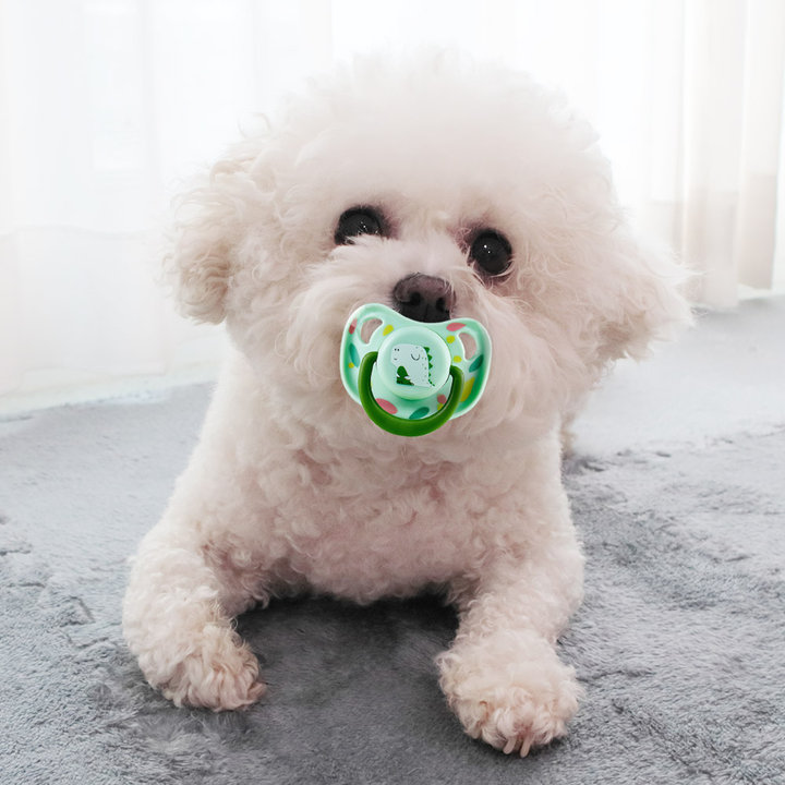 딩동펫 베이비 쪽쪽이 치발기