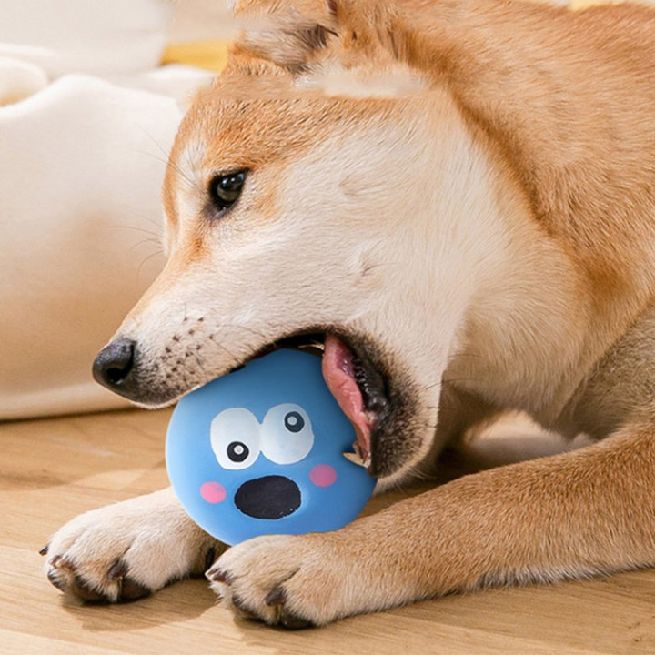 딩동펫 몬스터즈 삑삑이 장난감 4종 세트