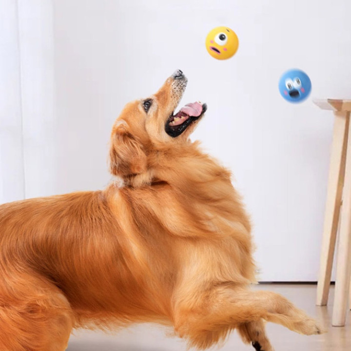 딩동펫 몬스터즈 삑삑이 장난감 4종 세트