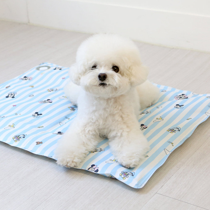 이츠독 디즈니 프레쉬 쿨젤 매트 프렌즈블루